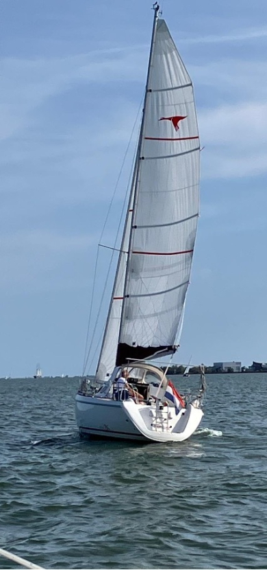 2026wadden10