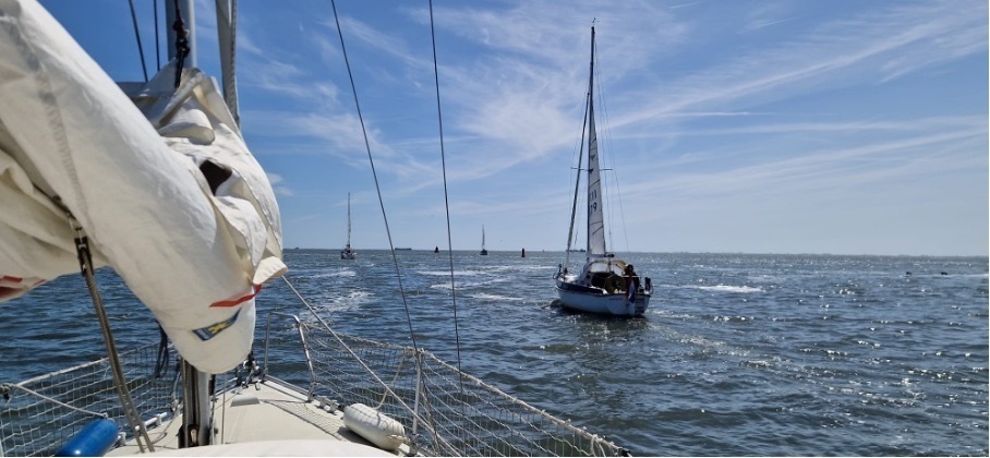 2026wadden8 2026wadden8