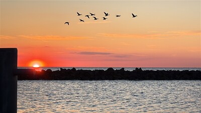 avondrood