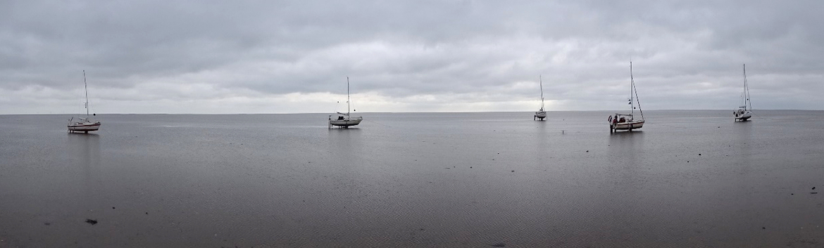 droogvallen-wad-1
