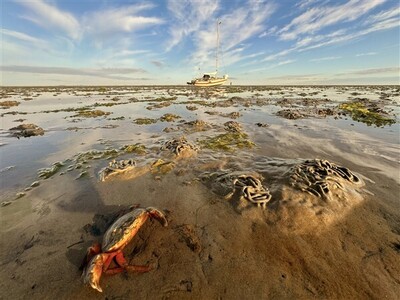 fotowedstrijd-10-600-x-450