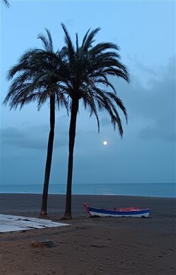 fotowedstrijd-18-385-x-600