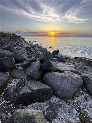 fotowedstrijd-7-342-x-457