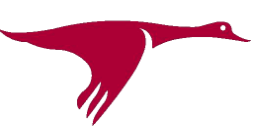 ic-large-w900h600q100-etap-logo-nieuw-groot-2