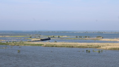 mw-1