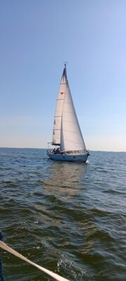 reiger-onderweg-461x1024
