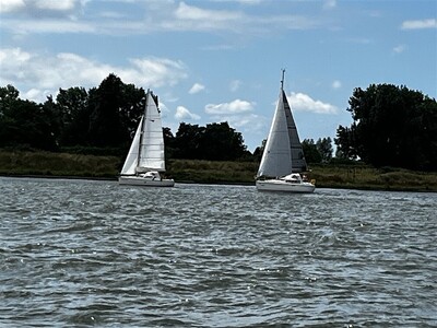wedstrijd